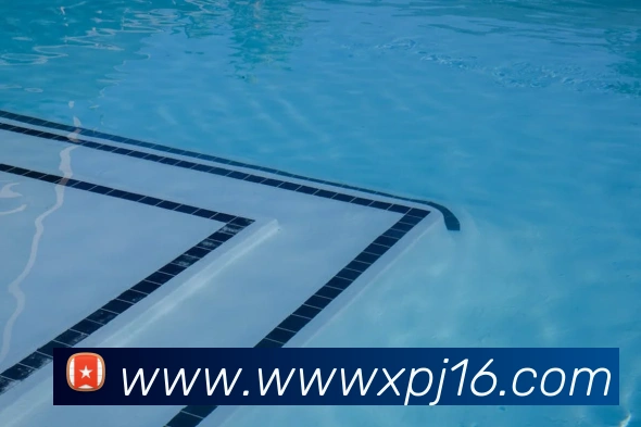互动解说服务